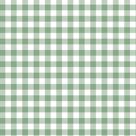 It's a Girl Flannel Gingham Sage from Riley Blake Designs